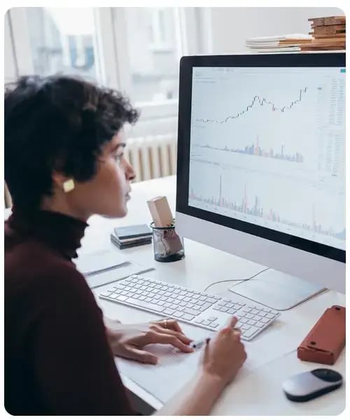 Marketing persona